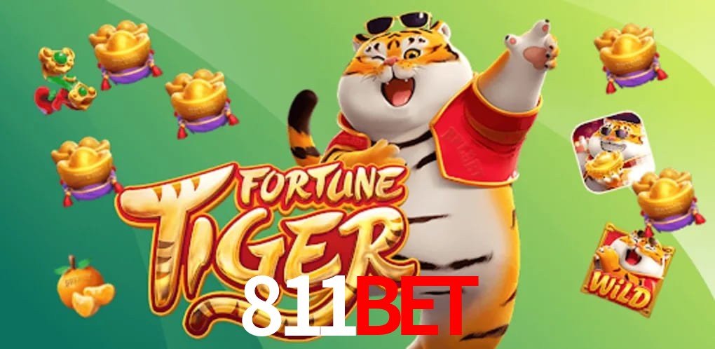 Experiência VIP 811bet